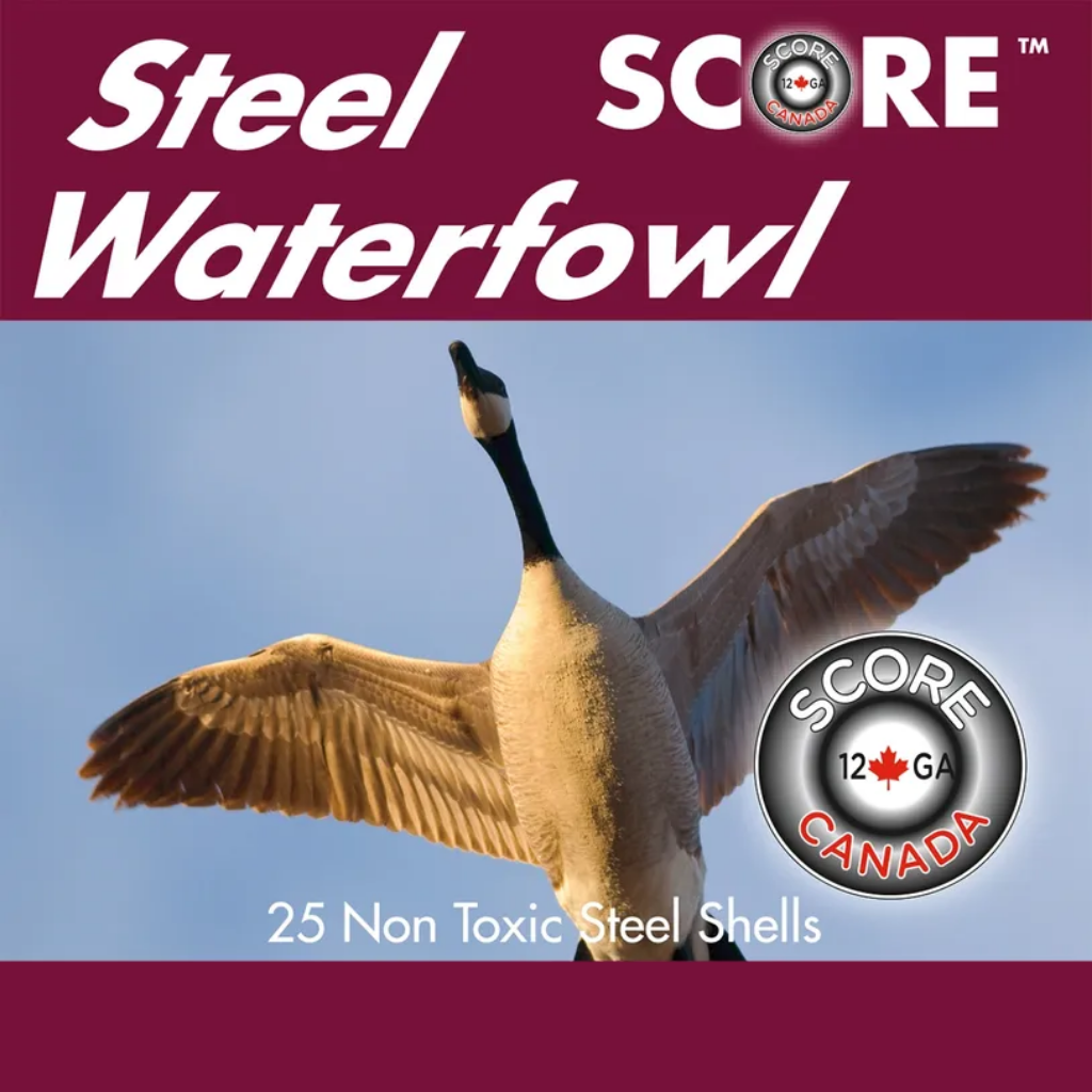 SCORE 12GA Waterfowl 2-3/4" 1-1/16z #BB Steel